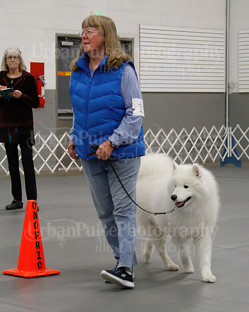 2021 SCA OBEDIENCE-RALLY-2396