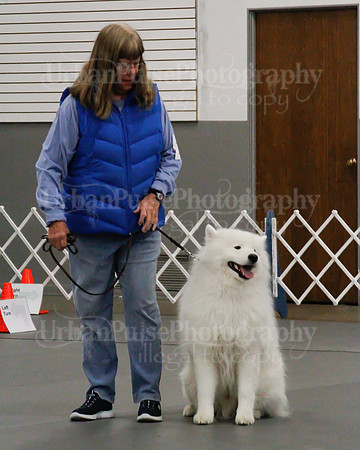 2021 SCA OBEDIENCE-RALLY-2397