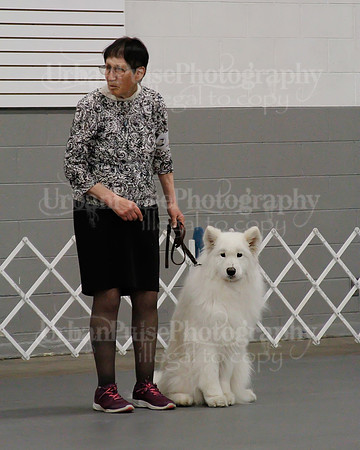 2021 SCA OBEDIENCE-RALLY-2402