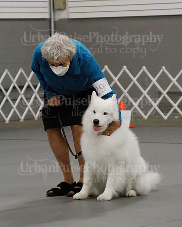 2021 SCA OBEDIENCE-RALLY-2408