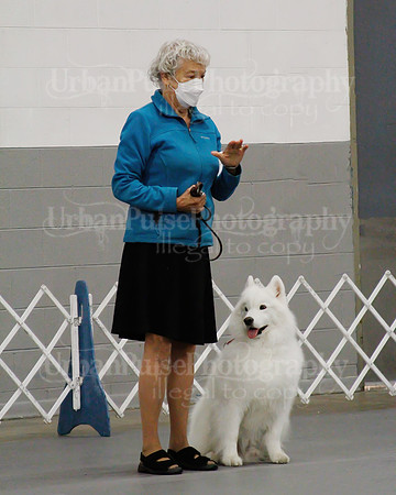 2021 SCA OBEDIENCE-RALLY-2409