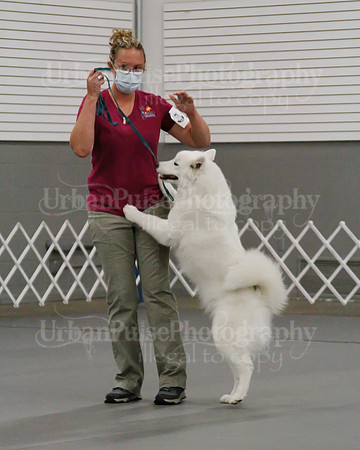 2021 SCA OBEDIENCE-RALLY-2414