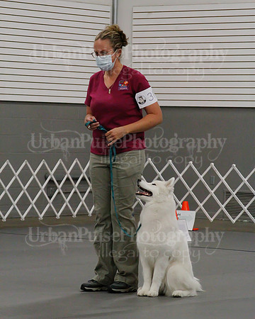 2021 SCA OBEDIENCE-RALLY-2413