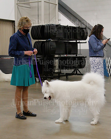 2021 SCA OBEDIENCE-RALLY-2418