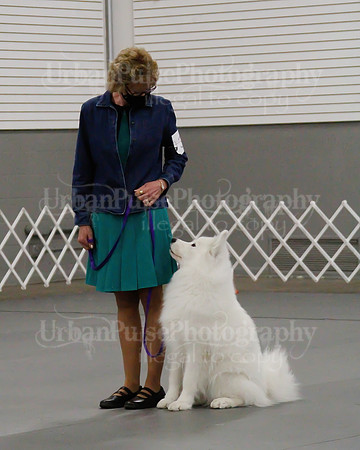 2021 SCA OBEDIENCE-RALLY-2422