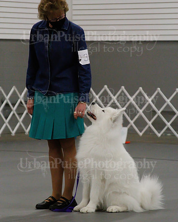 2021 SCA OBEDIENCE-RALLY-2425