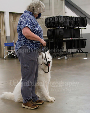 2021 SCA OBEDIENCE-RALLY-2428