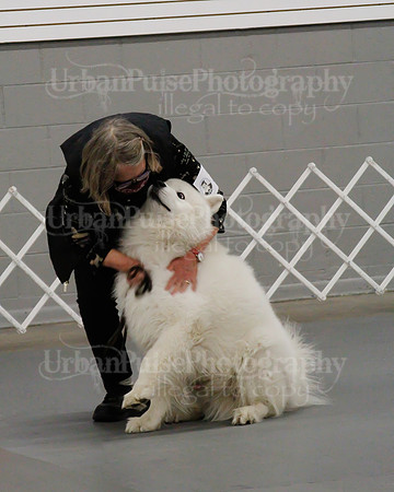 2021 SCA OBEDIENCE-RALLY-2435