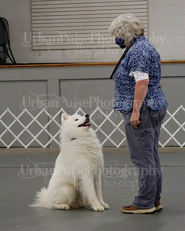 2021 SCA OBEDIENCE-RALLY-2432