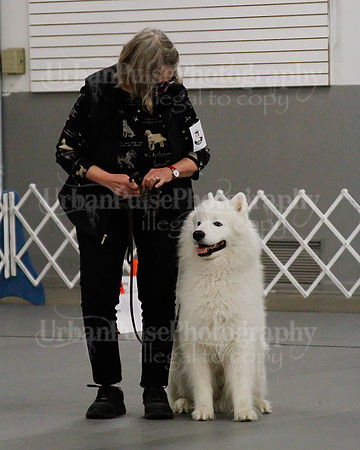 2021 SCA OBEDIENCE-RALLY-2436