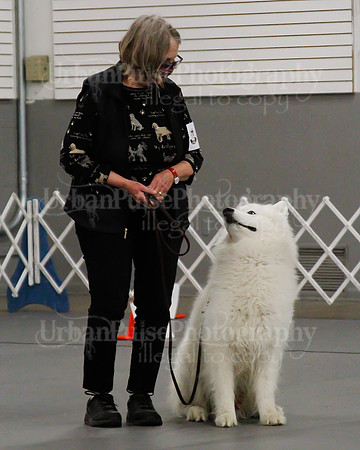 2021 SCA OBEDIENCE-RALLY-2437