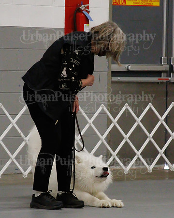 2021 SCA OBEDIENCE-RALLY-2439