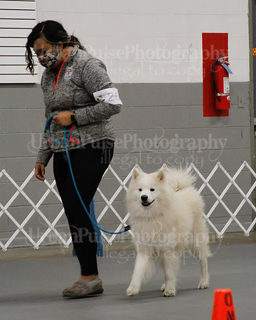2021 SCA OBEDIENCE-RALLY-2443