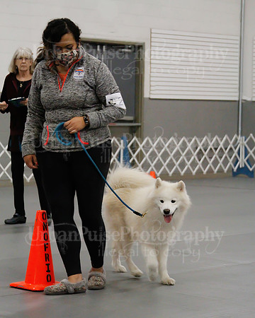 2021 SCA OBEDIENCE-RALLY-2445