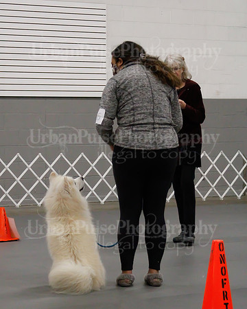 2021 SCA OBEDIENCE-RALLY-2446