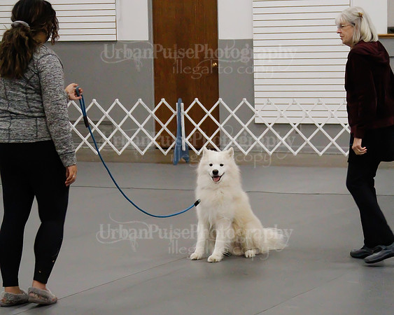 2021 SCA OBEDIENCE-RALLY-2448