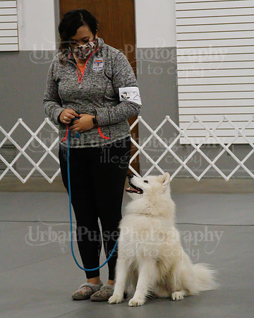 2021 SCA OBEDIENCE-RALLY-2449