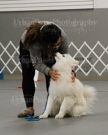 2021 SCA OBEDIENCE-RALLY-2450