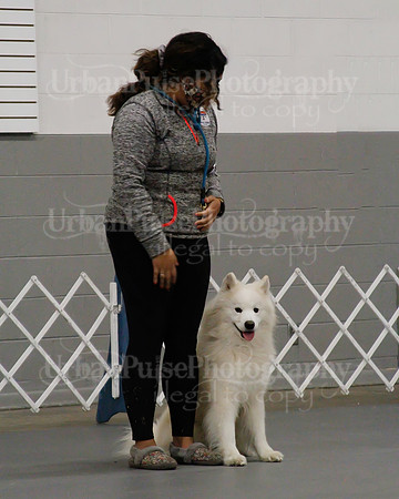 2021 SCA OBEDIENCE-RALLY-2451