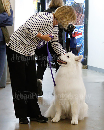 2021 SCA OBEDIENCE-RALLY-2456