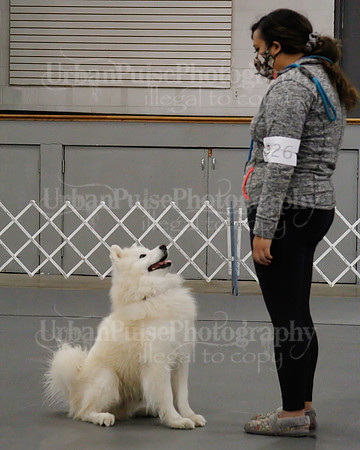 2021 SCA OBEDIENCE-RALLY-2452