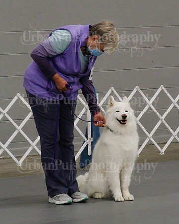 2021 SCA OBEDIENCE-RALLY-2461
