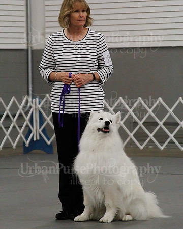2021 SCA OBEDIENCE-RALLY-2465