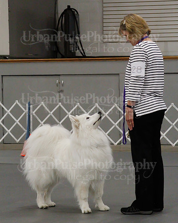 2021 SCA OBEDIENCE-RALLY-2468