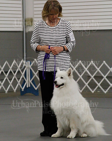 2021 SCA OBEDIENCE-RALLY-2466