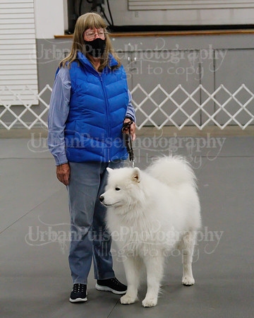 2021 SCA OBEDIENCE-RALLY-2471
