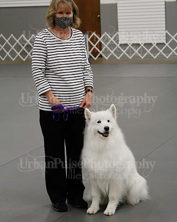 2021 SCA OBEDIENCE-RALLY-2474