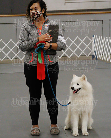2021 SCA OBEDIENCE-RALLY-2476