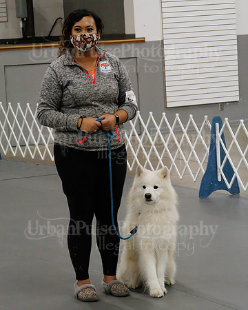 2021 SCA OBEDIENCE-RALLY-2475
