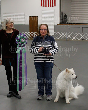 2021 SCA OBEDIENCE-RALLY-2477
