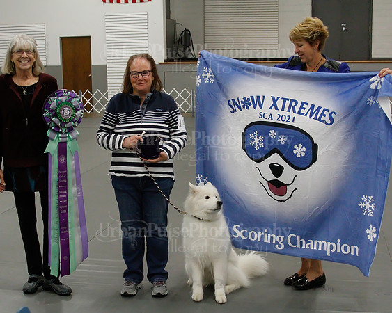 2021 SCA OBEDIENCE-RALLY-2479