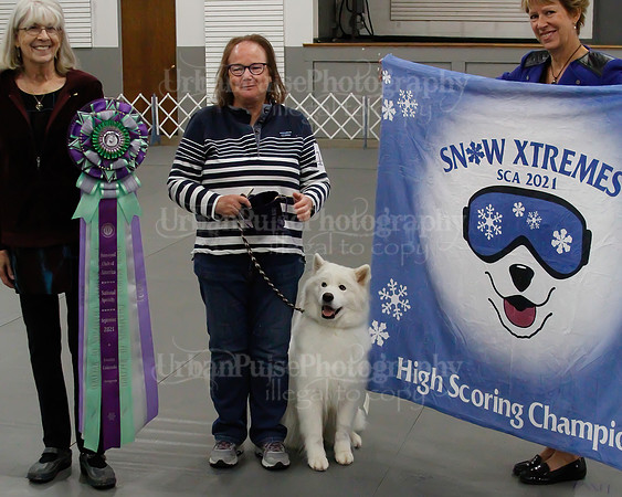 2021 SCA OBEDIENCE-RALLY-2482