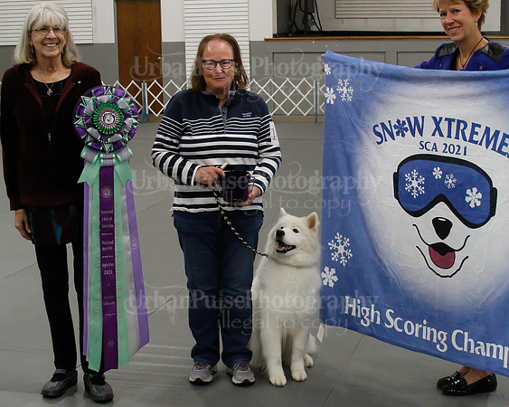 2021 SCA OBEDIENCE-RALLY-2483