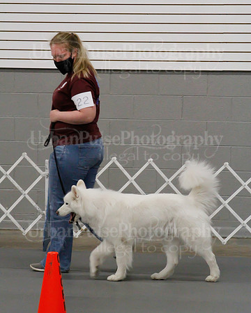 2021 SCA OBEDIENCE-RALLY-2489