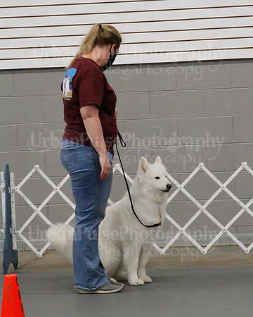 2021 SCA OBEDIENCE-RALLY-2490