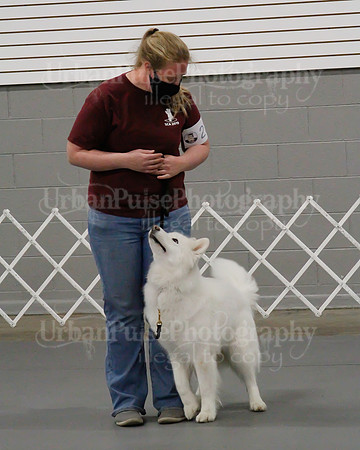 2021 SCA OBEDIENCE-RALLY-2491