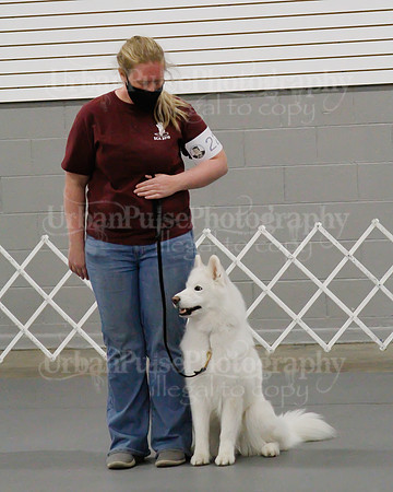 2021 SCA OBEDIENCE-RALLY-2492