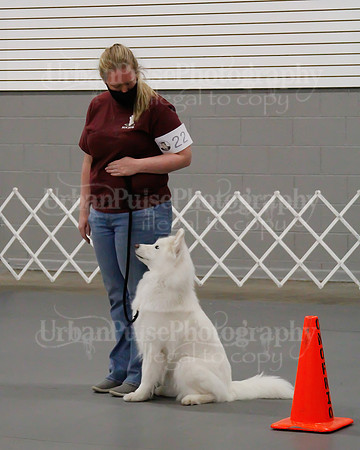 2021 SCA OBEDIENCE-RALLY-2493