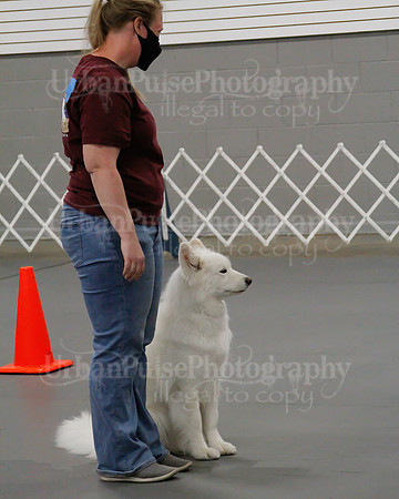 2021 SCA OBEDIENCE-RALLY-2494