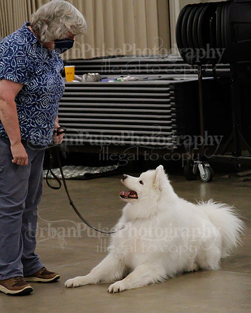 2021 SCA OBEDIENCE-RALLY-2513