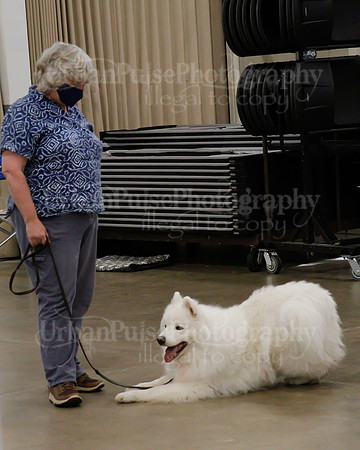 2021 SCA OBEDIENCE-RALLY-2517