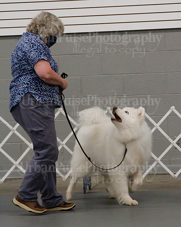 2021 SCA OBEDIENCE-RALLY-2530