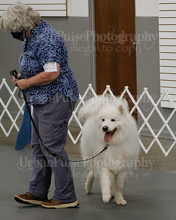 2021 SCA OBEDIENCE-RALLY-2528