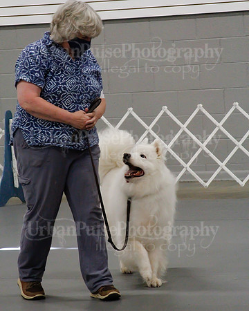 2021 SCA OBEDIENCE-RALLY-2536