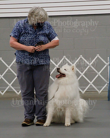 2021 SCA OBEDIENCE-RALLY-2534