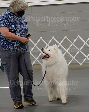 2021 SCA OBEDIENCE-RALLY-2541